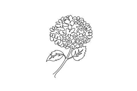 Decorative hydrangea flower concept for wall decor home art poster print Illustrazione stock