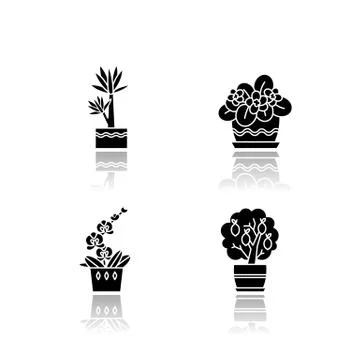 Decorative indoor plants drop shadow black glyph icons set. Houseplants. Dome Stock Illustration