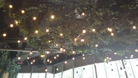 Decorative indoor string lights hanging on tree Stock Footage 147303262