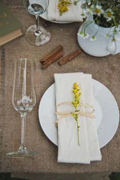 Decorative installation of a dining table 3094. Stock Photos