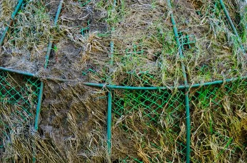 Decorative installation of a haystack in iron rods. Close-up. Stock Photos