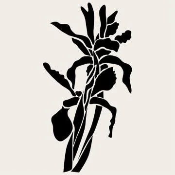 Decorative iris. design element. wedding invitations, cards, banners Stock Illustration