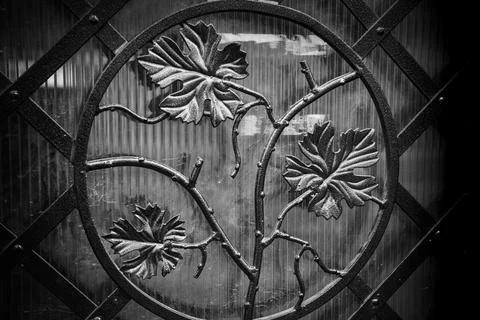 Decorative ironwork featuring vines and leaves against a textured background in Stock Photos