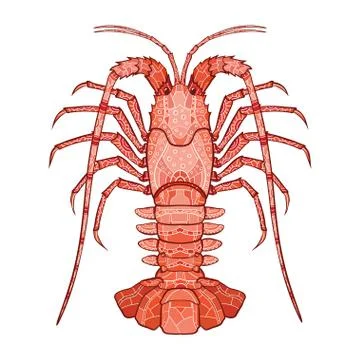 Decorative isolated crayfish Stock Illustration