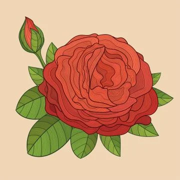 Decorative isolated rose with bud Stock Illustration
