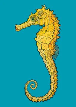 Decorative isolated seahorse Stock Illustration