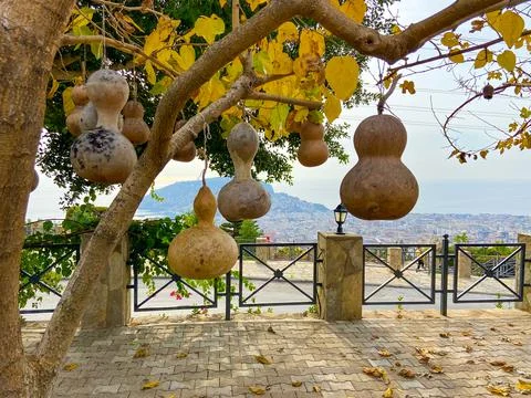 Decorative lamps made of dry empty pumpkin, Alanya, Turkey Stock Photos