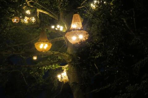 Decorative Lantern Lights Hanging From Trees Stock Photos