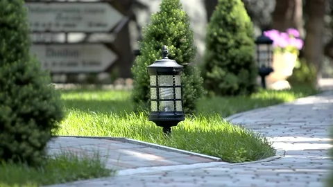 Decorative lantern in the park Stock Footage 221274576