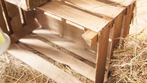 Decorative Lantern Puts a Hand on Box Retro Stock Footage 73984168