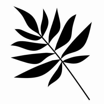 Decorative leaf silhouette. Simple stencil. on a white background, Stock Illustration