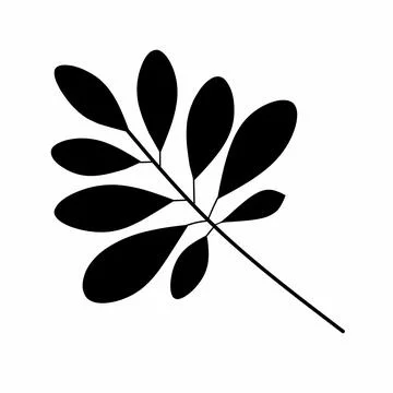 Decorative leaf silhouette. Simple stencil. on a white background, Setok vector イラスト素材
