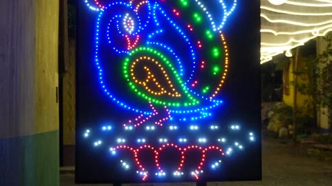 Decorative LED Peacock Light Display 스톡 동영상 326351460