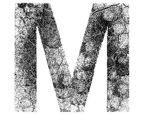 Decorative letter with cracked surface texture isolated on white background. Stock Illustration