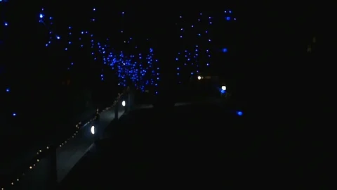 Decorative Lights Exterior Walkthrough Vídeo Stock 100333075