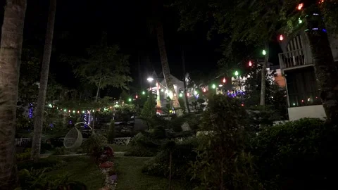 Decorative lights at night behind the trees and houses Stock Footage 214390160