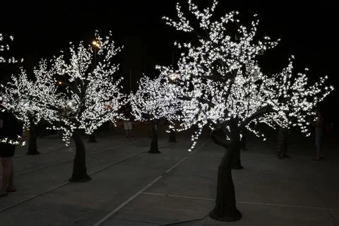Decorative lights on the tree at night Foto stock