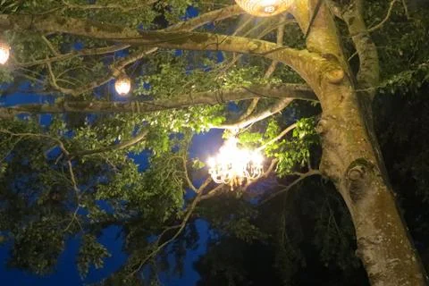 Decorative Lights in Trees Stock Photos