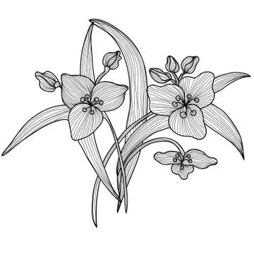 Decorative lily, design element, decoration for invitations, cards, banners Stock Illustration