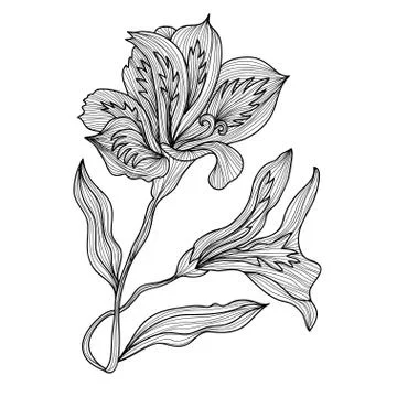 Decorative lily, design element, decoration for invitations, cards, banners Stock Illustration