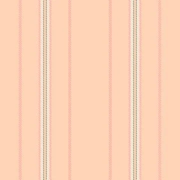 A decorative line based textile pattern presents ordered stripe intervals wit Illustrazione stock