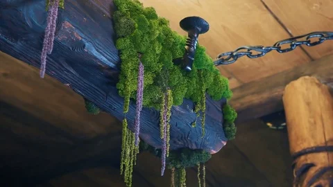 Decorative log with moss hanging on chain in tavern pub Stock Footage 79470590