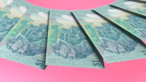 Decorative Looping Design 1 Ringgit Curency of Brunei Darussalam Stock Footage 303815383