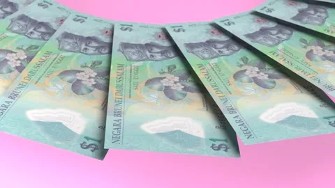 Decorative Looping Design 1 Ringgit Curency of Brunei Darussalam Stock Footage 303815384