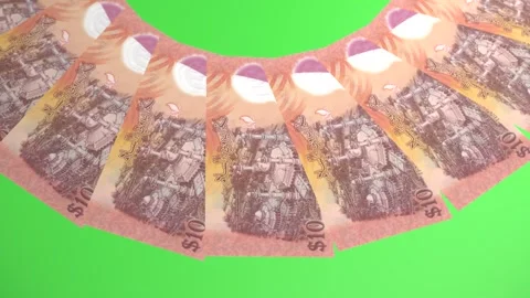 Decorative Looping Design 10 Ringgit Curency of Brunei Darussalam Stock Footage 303815414