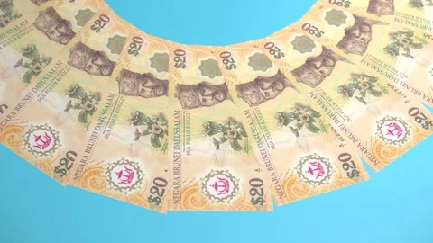 Decorative Looping Design 20 Ringgit Curency of Brunei Darussalam Stock Footage 303815408