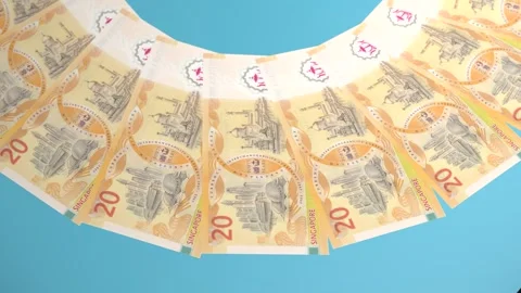 Decorative Looping Design 20 Ringgit Curency of Brunei Darussalam Stock Footage 303815467