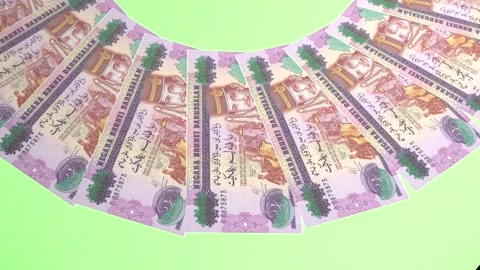 Decorative Looping Design 25 Ringgit Curency of Brunei Darussalam Stock Footage 303815466