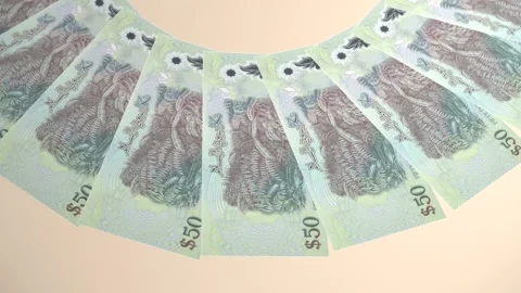 Decorative Looping Design 50 Ringgit Curency of Brunei Darussalam Stock Footage 303815563