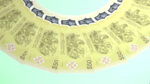 Decorative Looping Design 50 Ringgit Curency of Brunei Darussalam Stock Footage 303815593