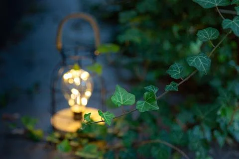 A decorative luminous lamp illuminates the foliage in the garden Stock Photos