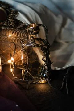 Decorative magic bottle with lights with vines Stock Photos