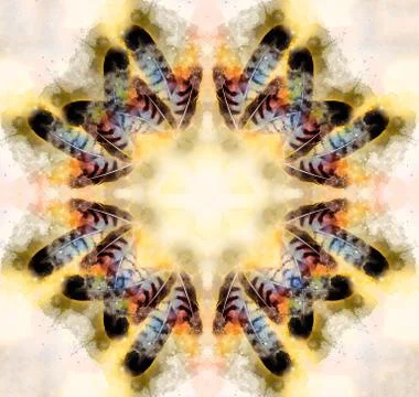 Decorative mandala with feather pattern on abstract background. Stock Illustration