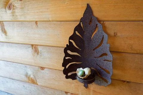 Decorative metal leaf stand with seashell on wooden wall Stock Photos