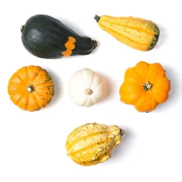 Decorative mini pumpkins isolated on white background, top view Stock Photos