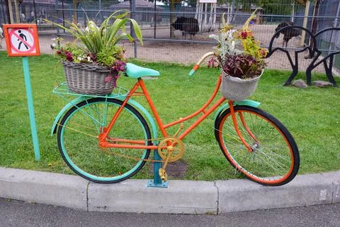 Decorative multi-colored bicycle on which flower pots with plants are install Stock Photos