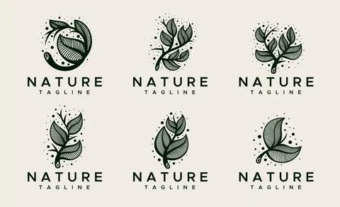 Decorative natural leaf logo design template. Green floral leaves logo vector. Stock Illustration