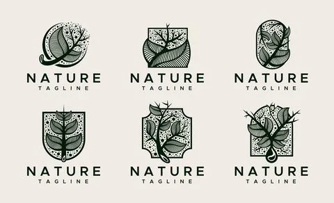 Decorative nature leaf logo design template set. Luxury floral logo graphic. Stock Illustration