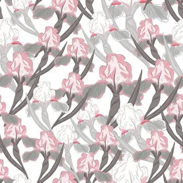 Decorative nature seamless pattern with grey and pink colored iris flower bra Illustrazione stock