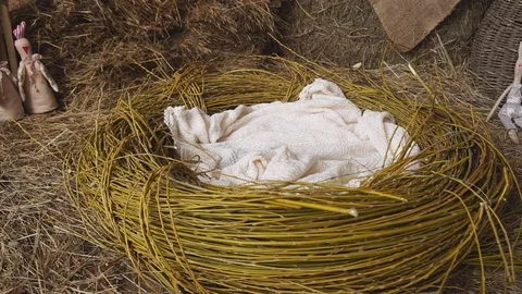 In a Decorative Nest Bed Skin Stock Footage 73986369