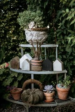 Decorative objects and plants on a shelf in the garden Stock Photos