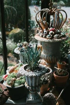 Decorative objects and plants in a veranda Stock Photos