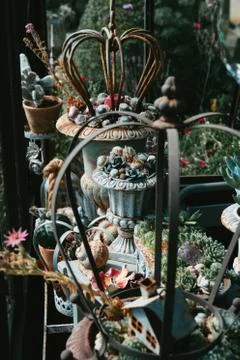 Decorative objects and plants in a veranda Stock Photos