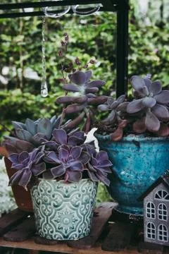 Decorative objects and plants in a veranda Stock Photos