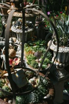 Decorative objects and plants in a veranda Foto stock