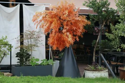Decorative Orange Leaf Tree in Modern Courtyard with Seating Area and Conte.. Foto stock